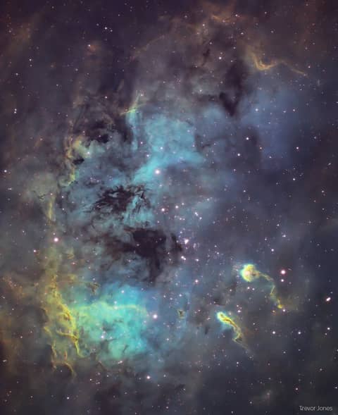 The Tadpoles of IC 410