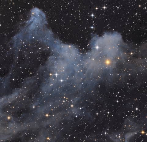 The Ghoul of IC 2118