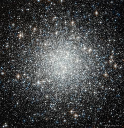 Blue Straggler Stars in Globular Cluster M53