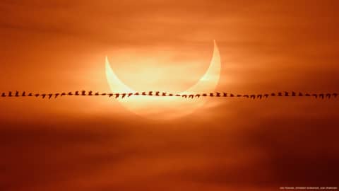 Eclipse Flyby
