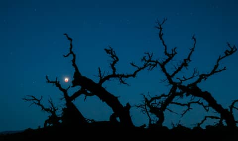 Blood Monster Moon
