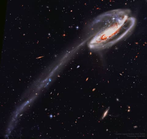The Tadpole Galaxy from Hubble