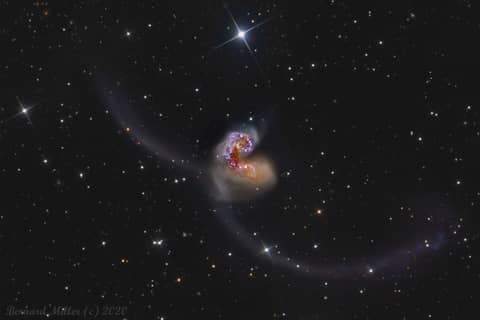Exploring the Antennae
