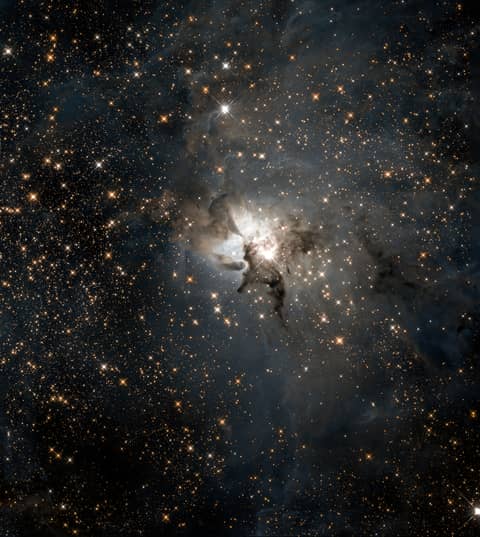 Central Lagoon in Infrared