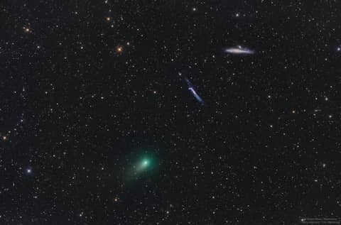 The Comet, the Whale, and the Hockey Stick