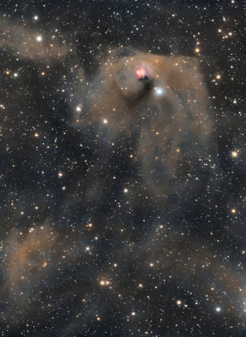 T Tauri and Hind's Variable Nebula