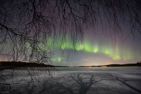 Aurora by Moonlight