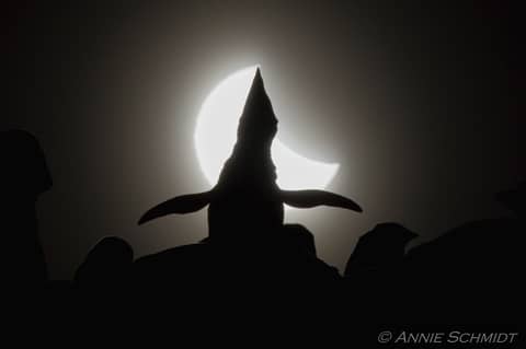 Ecstatic Solar Eclipse