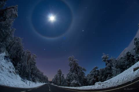 Quadruple Lunar Halo Over Winter Road