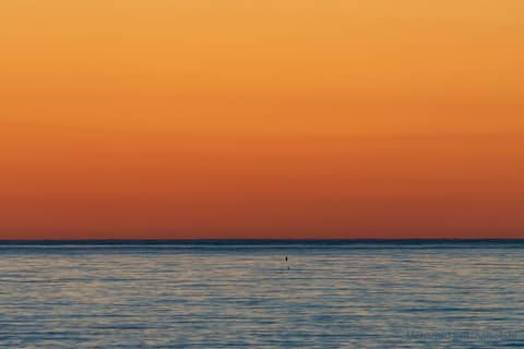 Find the New Moon