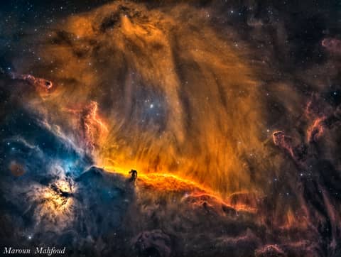 A Lion in Orion
