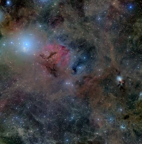 Stardust in Perseus