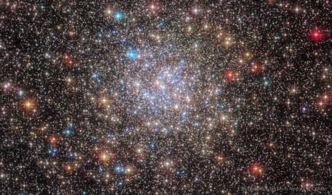 Globular Star Cluster NGC 6355 from Hubble