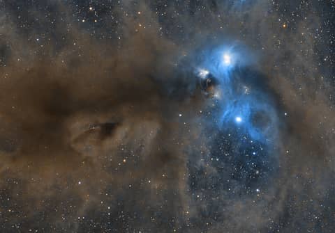 Stars and Dust across Corona Australis