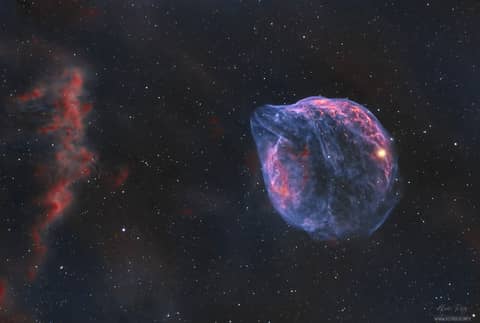 Sh2-308: A Dolphin Shaped Star Bubble