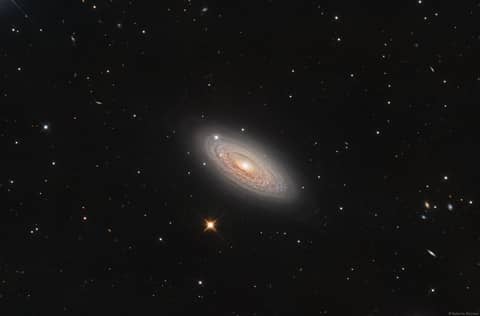 Spiral Galaxy NGC 2841