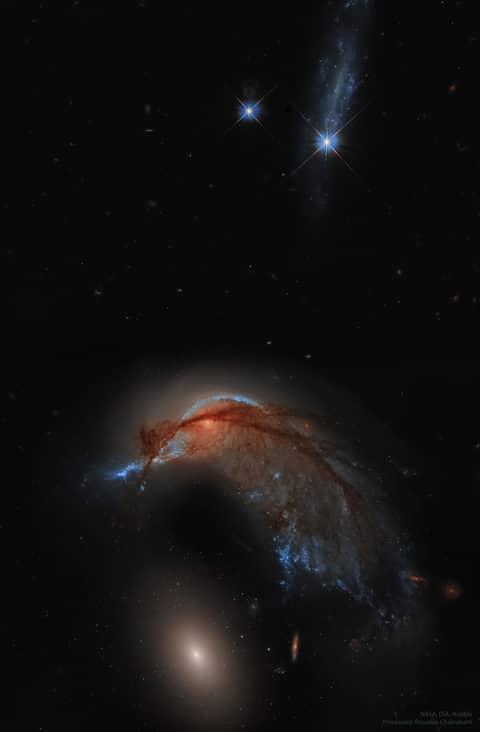 Arp 142: The Hummingbird Galaxy