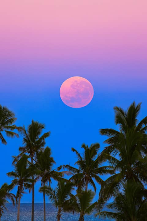 South Pacific Shadowset