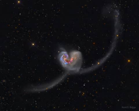 The Heart Shaped Antennae Galaxies