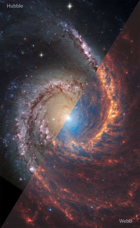 NGC 1566: A Spiral Galaxy from Webb and Hubble