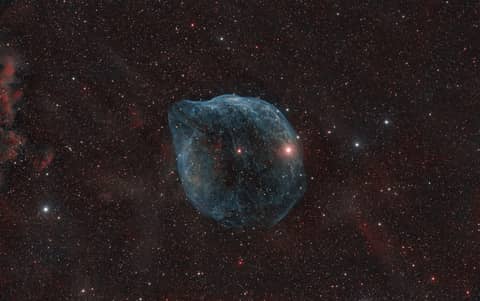 SH2-308: The Dolphin Head Nebula