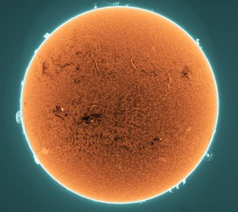Prominences and Filaments on the Active Sun