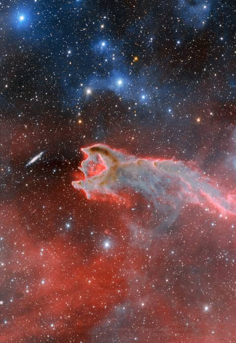CG4: The Globule and the Galaxy