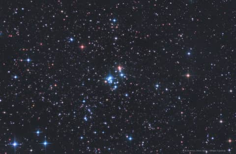The 37 Cluster