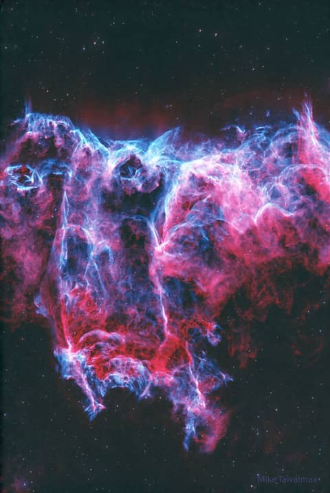 NGC 6995: The Bat Nebula