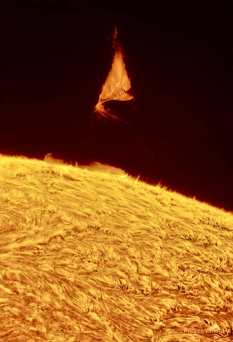 A Triangular Prominence Hovers Over the Sun