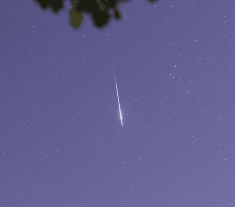 A Cool GIF of a 2025 Perseid