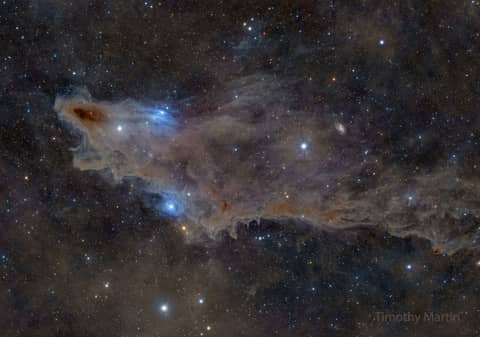 LDN 1235: The Shark Nebula