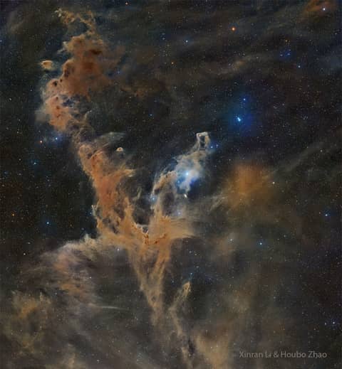 Chamaeleon Dark Nebulas