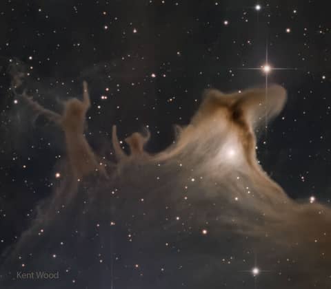 Dust Shapes of the Ghost Nebula