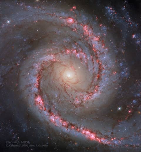NGC 1566: The Spanish Dancer Galaxy