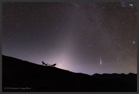 A Zodiacal Night