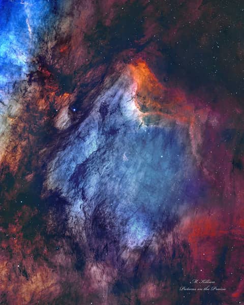 The Pelican Nebula in Gas, Dust, and Stars