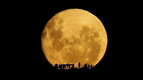 Full Moon Silhouettes