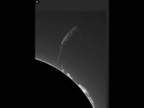 A Filament Leaps from the Sun