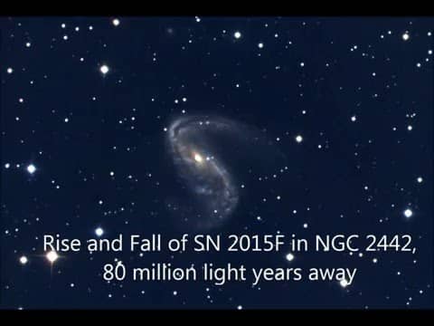 The Rise and Fall of Supernova 2015F