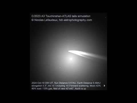 Animation: Comet Tsuchinshan-ATLAS Tails Prediction