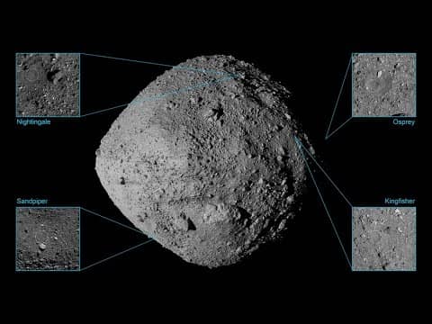 Places for OSIRIS-REx to Touch Asteroid Bennu