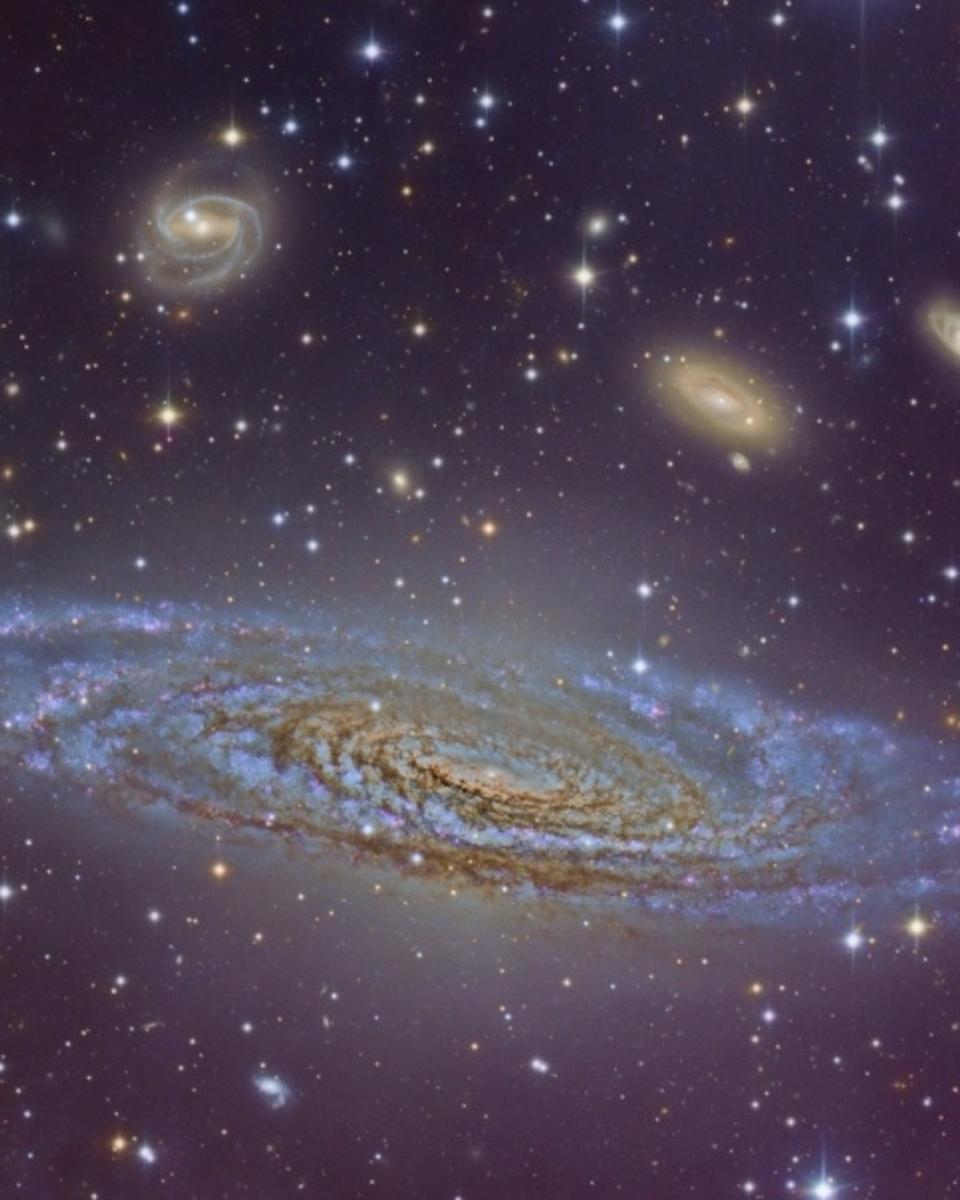 Beautiful Spiral NGC 7331