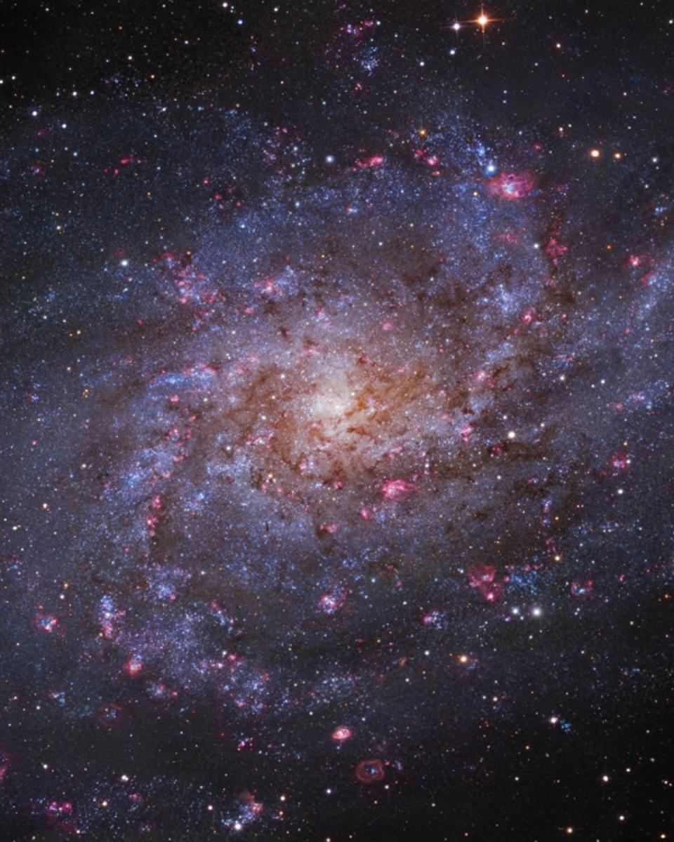M33: Triangulum Galaxy