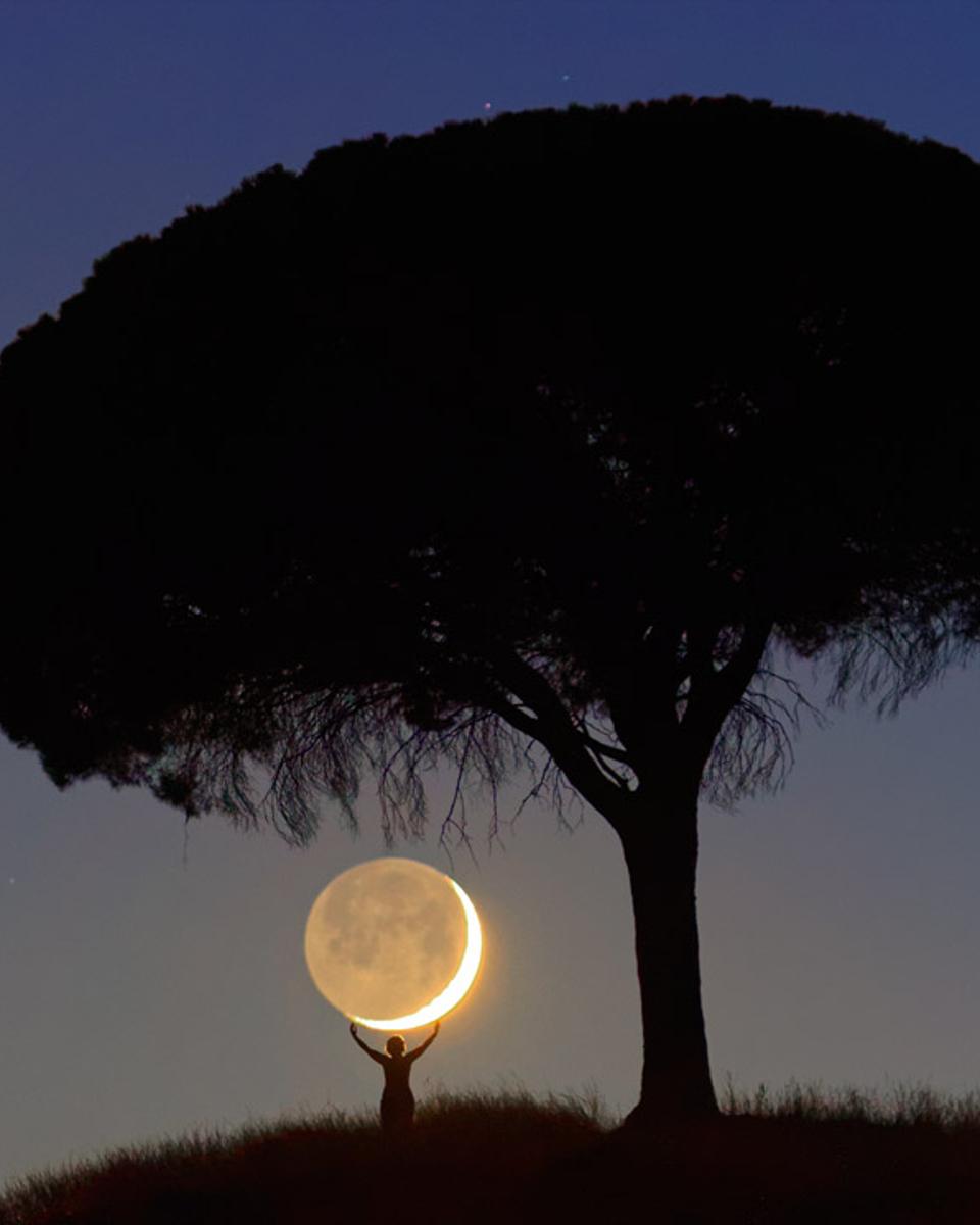 I Brought You the Moon