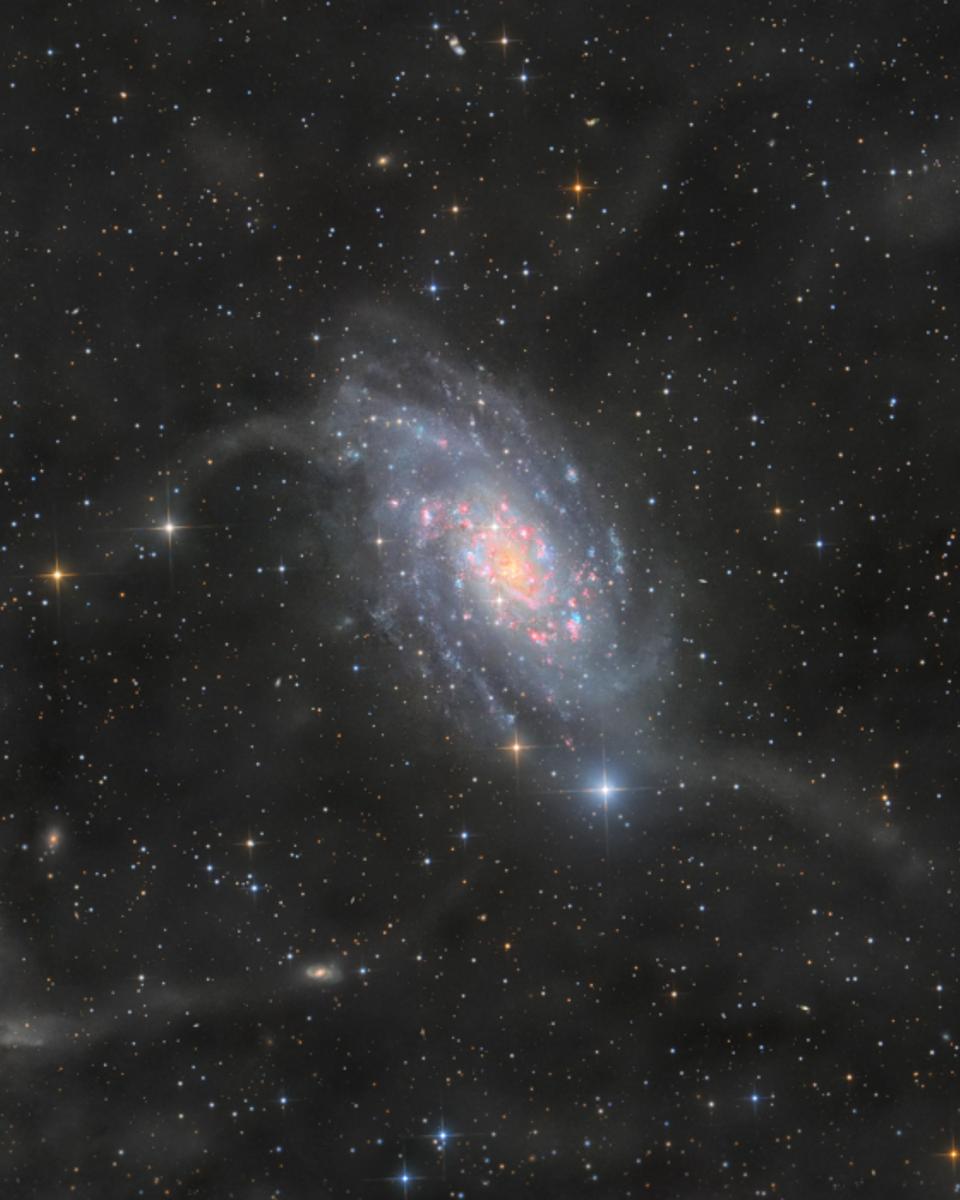 NGC 2403 in Camelopardalis