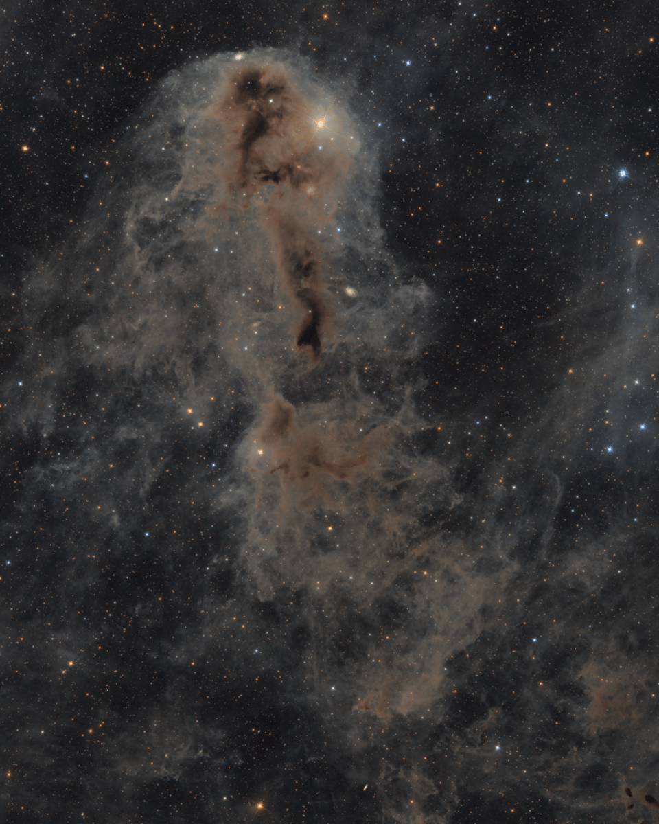 Lynds Dark Nebula 1251