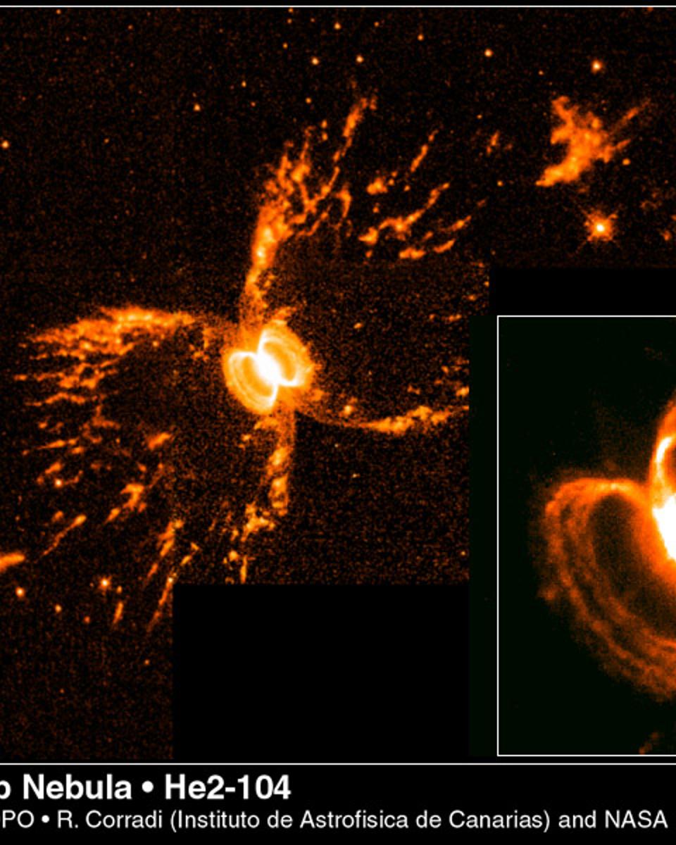 Symbiotic Star Bubbles