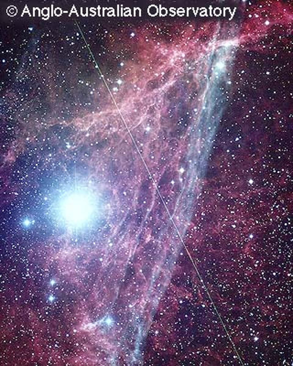 The Vela Supernova Remnant Expands