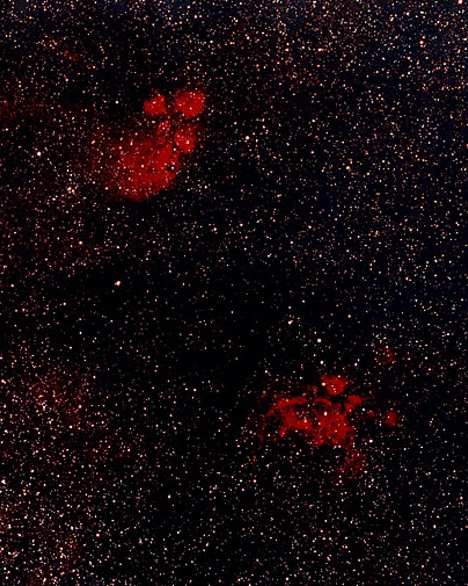 The Cat's Paw Nebula